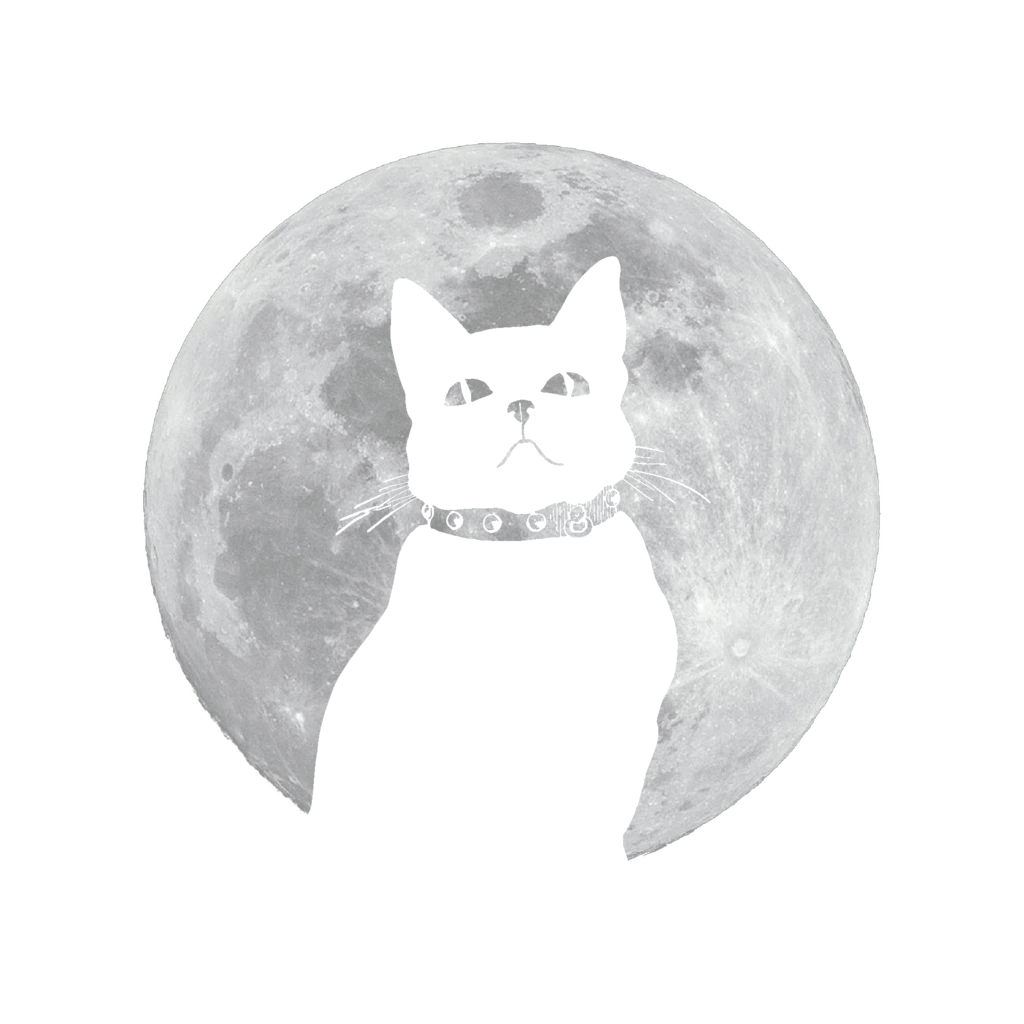 Photo of the moon with the silhoutte of a cat cut out