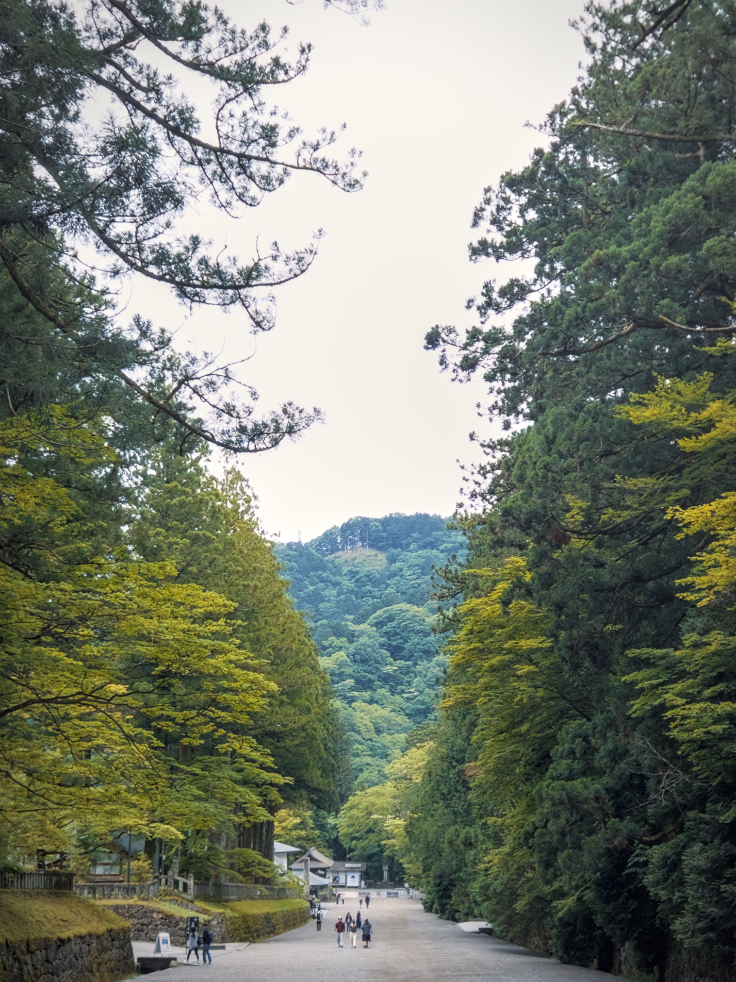 IMG 20250527 112738