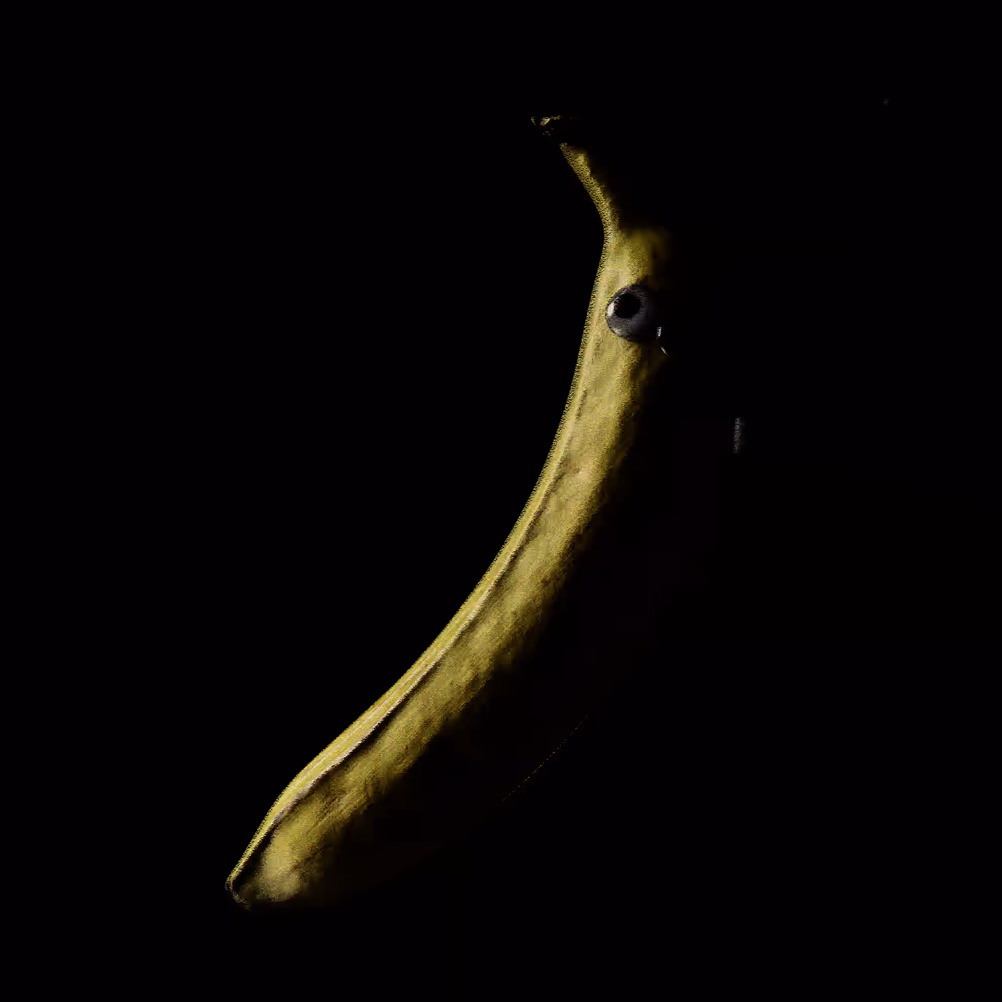 one render a day 21